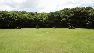 DSC02915