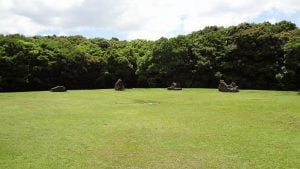DSC02915